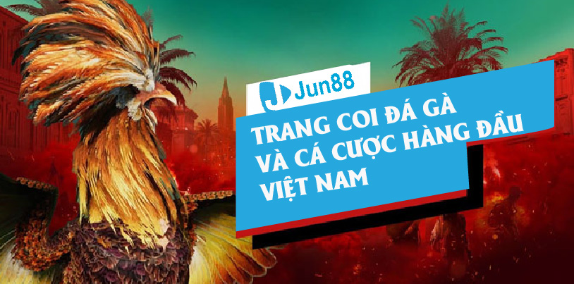 Jun88 - Trang Coi Đá Gà Và Cá Cược Hàng Đầu Việt Nam