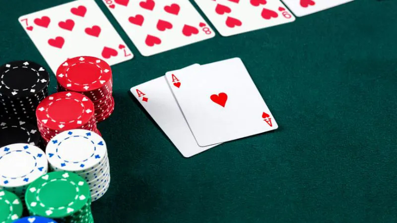 Giới thiệu thông tin tổng quan về bài Catte